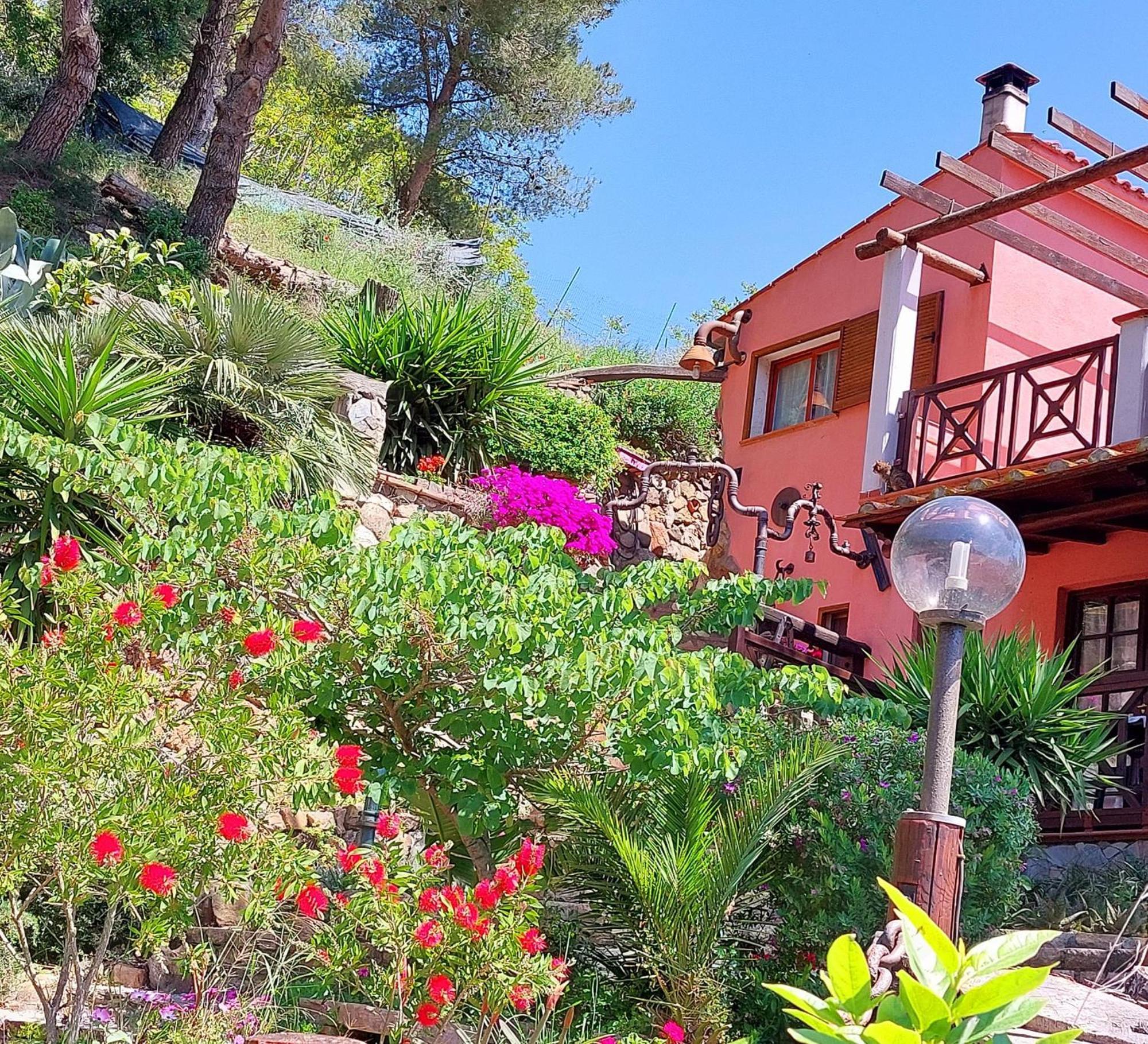 Villetta Blu Rio dellʼElba Eksteriør bilde